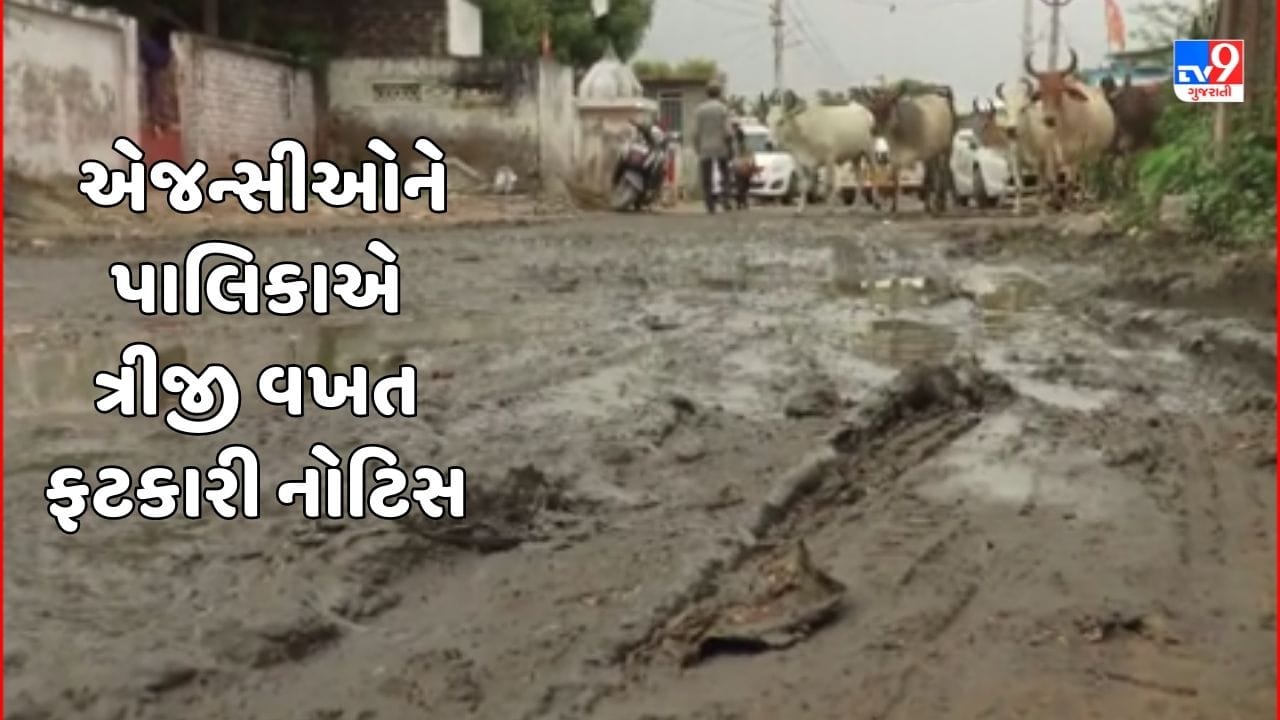 Banaskantha Video: પાલનપુરમાં લાખો રૂપિયાના ખર્ચે બનાવેલા રોડ તૂટ્યા, પાંચ એજન્સીઓને પાલિકાએ ત્રીજી વખત ફટકારી નોટિસ Banaskantha Video: પાલનપુરમાં લાખો રૂપિયાના ખર્ચે બનાવેલા રોડ તૂટ્યા, પાંચ એજન્સીઓને પાલિકાએ ત્રીજી વખત ફટકારી નોટિસ