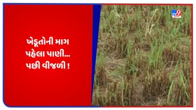 Banaskantha: સરકારે બે કલાક વધુ વીજળી આપવાની જાહેરાત તો કરી પરંતુ પાણી વગર વીજળી શું કામની ? ખેડૂતોએ સરકારને કર્યો સવાલ, જુઓ Video