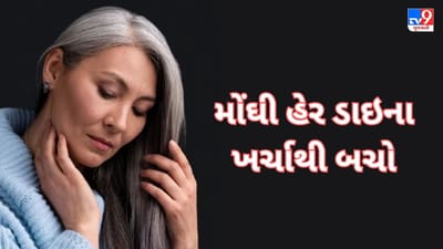Beauty tips: મોંઘી હેર ડાઇના ખર્ચાથી બચો, આ રીતે બનાવો નેચરલ હેર કલર, વાળ થશે કાળા !