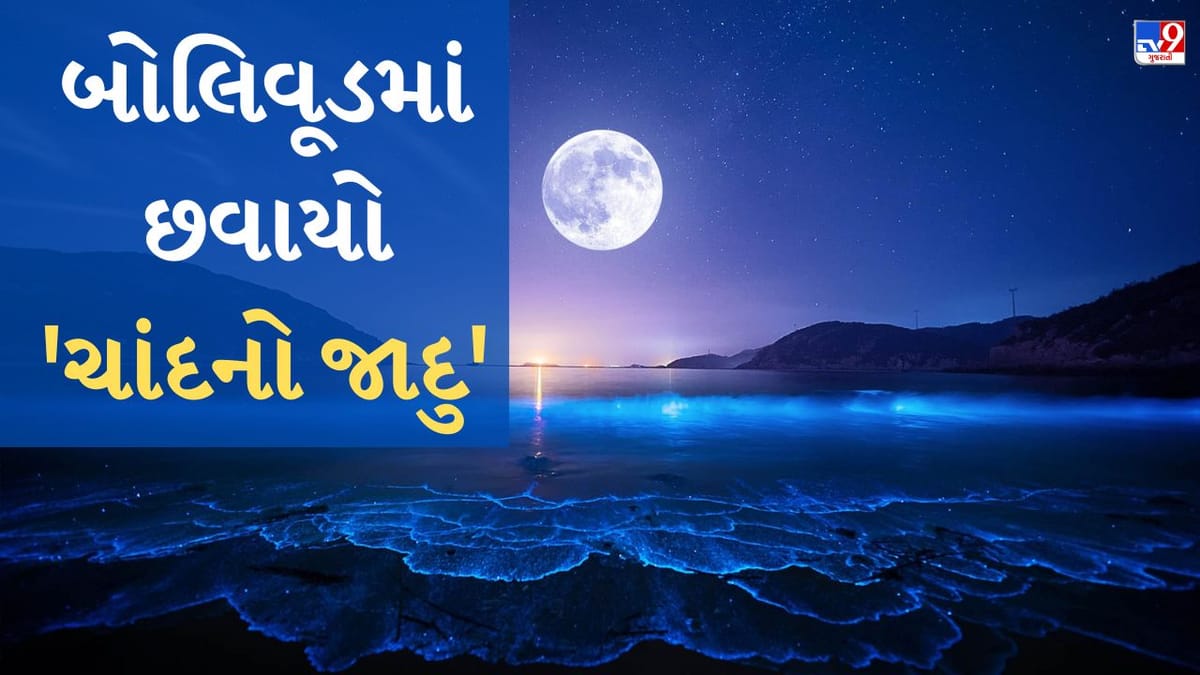 Bollywood Moon Song : જ્યારે બોલિવૂડે શોધી ચંદ્રની દૂનિયા, એક્ટર અને એક્ટ્રેસ પર છવાઈ ચંદ્રની ચાંદની, એકથી એક સુંદર બન્યા છે ગીતો Bollywood Moon Song : જ્યારે બોલિવૂડે શોધી ચંદ્રની દૂનિયા, એક્ટર અને એક્ટ્રેસ પર છવાઈ ચંદ્રની ચાંદની, એકથી એક સુંદર બન્યા છે ગીતો