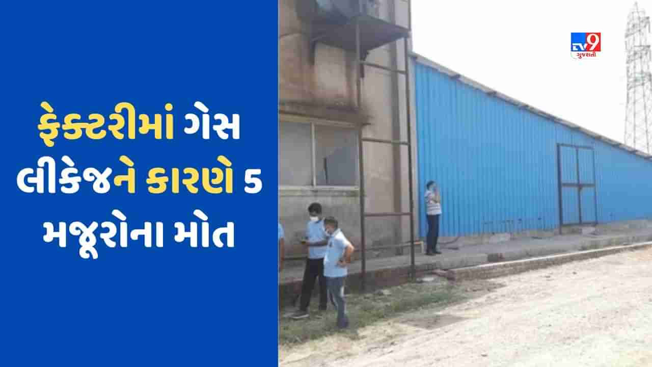 Breaking News: મધ્યપ્રદેશના મોરેનામાં ફેક્ટરીમાં ગેસ લીકેજને કારણે મોટી દુર્ઘટના, 5 મજૂરોના મોત