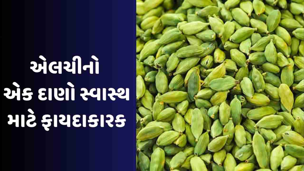 Cardamom Health Benefits: વધતા વજનને કાબૂમાં રાખવાથી લઈને પાચનક્રિયા સુધારવામાં મદદગાર, જાણો એલચીના શ્રેષ્ઠ ફાયદાઓ