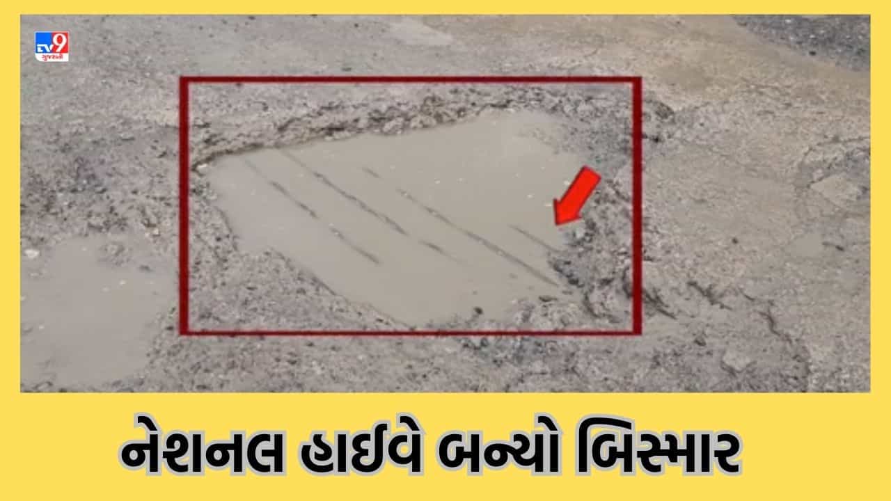 Chota Udepur: બોડેલીથી મધ્યપ્રદેશને જોડતા નેશનલ હાઈવે પર ઠેર-ઠેર ખાડા, વાહનચાલકો એક ખાડાને તારવે તો બીજામાં ખાબકે એવી સ્થિતિ- જુઓ Video