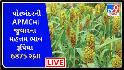 Mandi : પોરબંદરની APMCમાં જુવારના મહત્તમ ભાવ રૂપિયા 6875 રહ્યા ,જાણો જુદા-જુદા પાકના ભાવ Mandi : પોરબંદરની APMCમાં જુવારના મહત્તમ ભાવ રૂપિયા 6875 રહ્યા ,જાણો જુદા-જુદા પાકના ભાવ