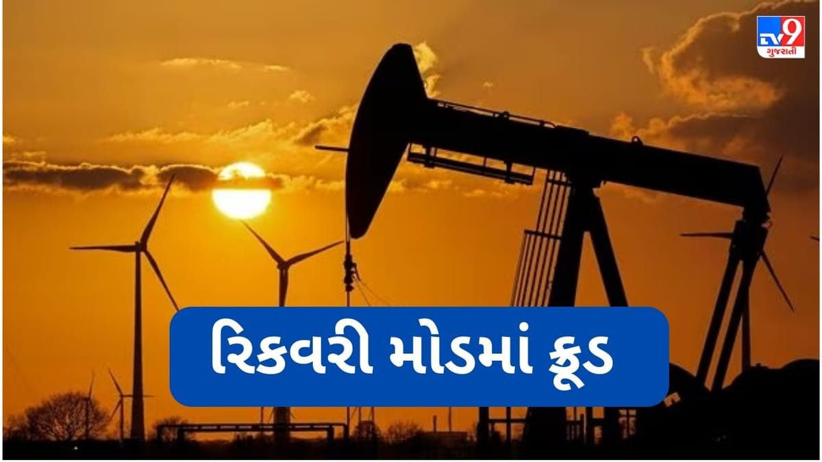 Commodity Market: રિકવરી મોડમાં ક્રૂડ, 1 દિવસમાં ભાવ 3% વધ્યો, જાણો અન્ય કોમોડિટીઝ કેવી ચાલી રહી છે