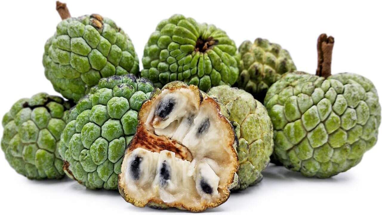 સીતાફળના બીજ ઝેરી હોય છે જે ત્વચા અને આંખો માટે ખરાબ હોય છે. અભ્યાસ મુજબ, તેના બીજના પાવડરનો ઉપયોગ કરવાથી ત્વચા પર દુખાવો અને લાલાશની ફરિયાદ થઈ શકે છે. આના કારણે આંખોની ગંભીર સમસ્યાઓ થઈ શકે છે જેના કારણે આંખોની રોશનીમાં ઘટી શકે છે.