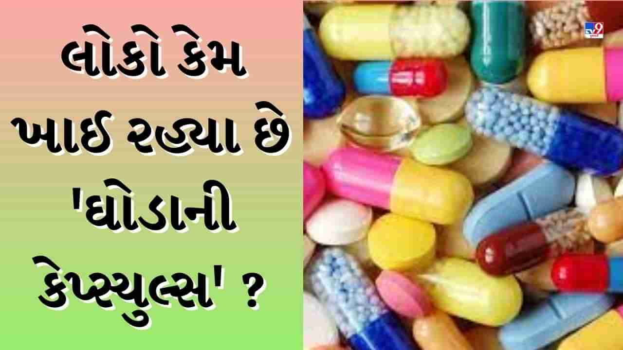 Drug News : નશાખોરો કેમ ઘોડાની કેપ્સ્યુલ્સ તરફ વળ્યા ? શું છે સમગ્ર મામલો-જુઓ Video