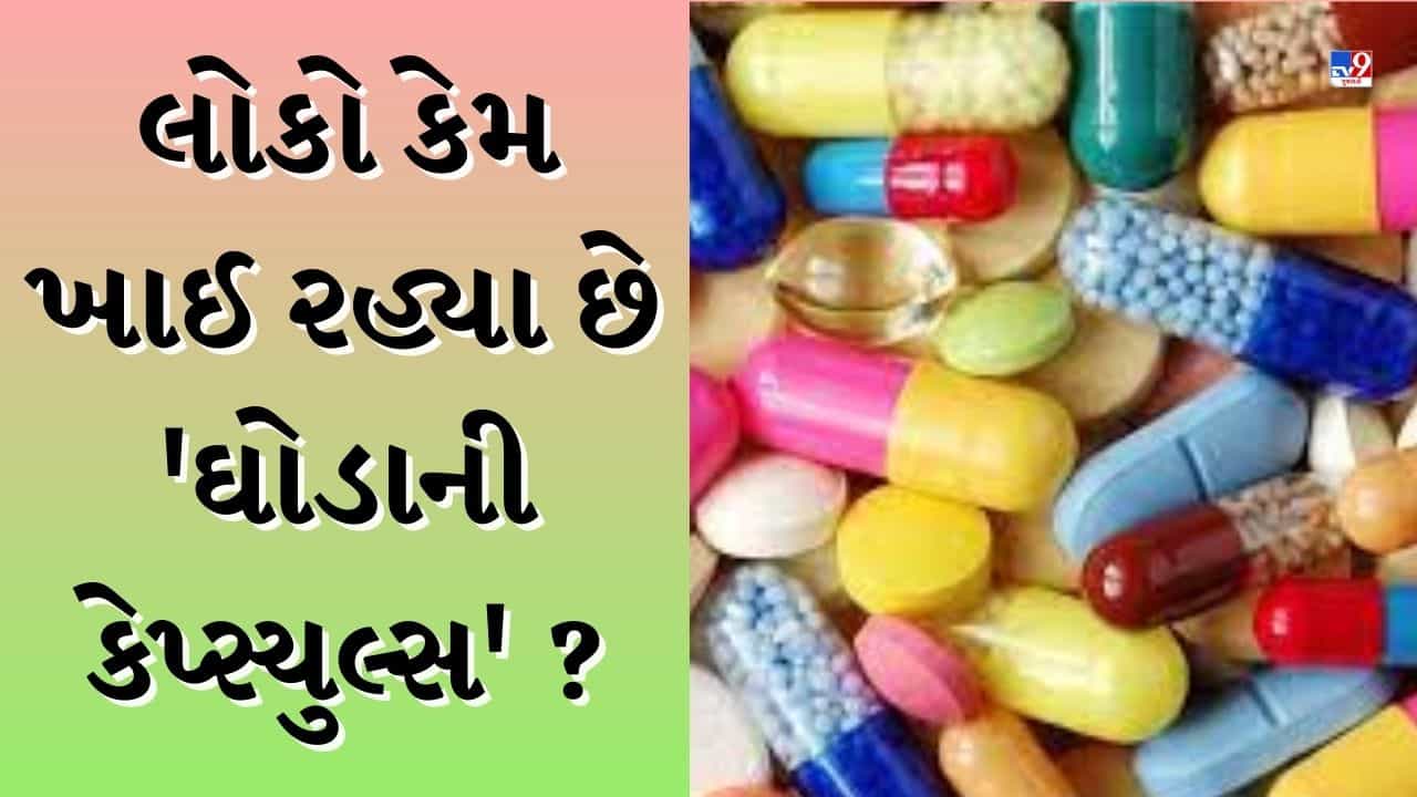 Drug News : નશાખોરો કેમ ઘોડાની કેપ્સ્યુલ્સ તરફ વળ્યા ? શું છે સમગ્ર મામલો-જુઓ Video