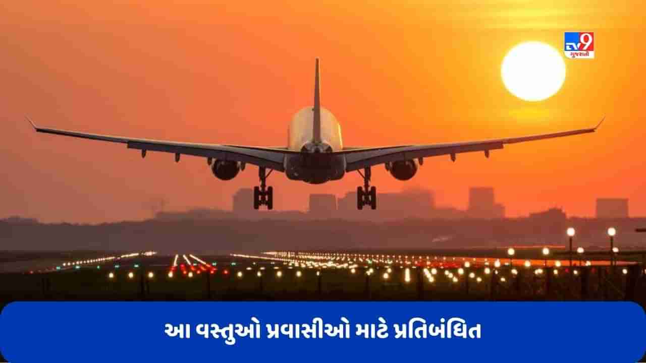 Dubai News: જાણો એ વસ્તુઓની યાદી જે UAEમાં રહેવાસીઓ અને પ્રવાસીઓ માટે છે પ્રતિબંધિત