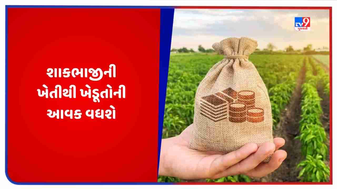 Vegetables Farming: સપ્ટેમ્બર મહિનામાં આ શાકભાજીની ખેતીથી ખેડૂતોની આવકમાં થશે વધારો