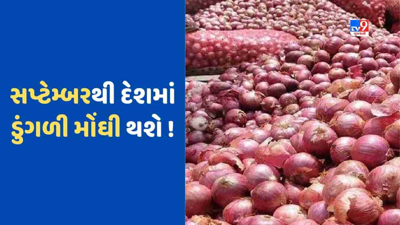 Onion Export Duty: ડુંગળીના ભાવ વધવાની ભીતિ! કેન્દ્રએ 40 ટકા એક્સપોર્ટ ડ્યૂટી લગાવી