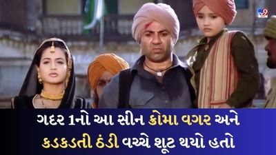 Gadar 2 Cast : 'ગદર 1'નો આ સીન રિયલ હતો અને દિલધડક પણ, ઉત્કર્ષ શર્માએ કહ્યું- કડકડતી ઠંડીમાં 72 કલાક થયું શૂટિંગ
