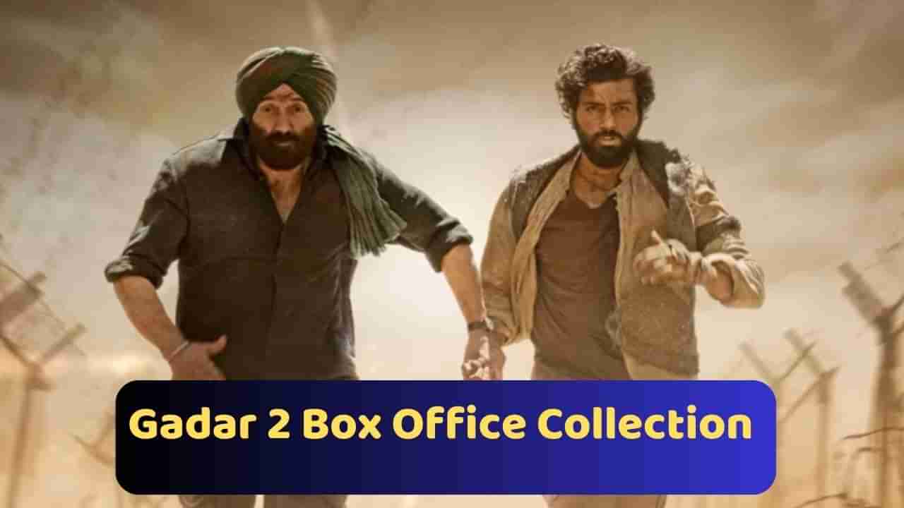 Gadar 2 vs OMG 2 Box Office Collection Day :સની દેઓલની Gadar 2નું બોક્સ ઓફિસ પર તોફાન, અક્ષય કુમારની OMG 2 100 કરોડને પાર