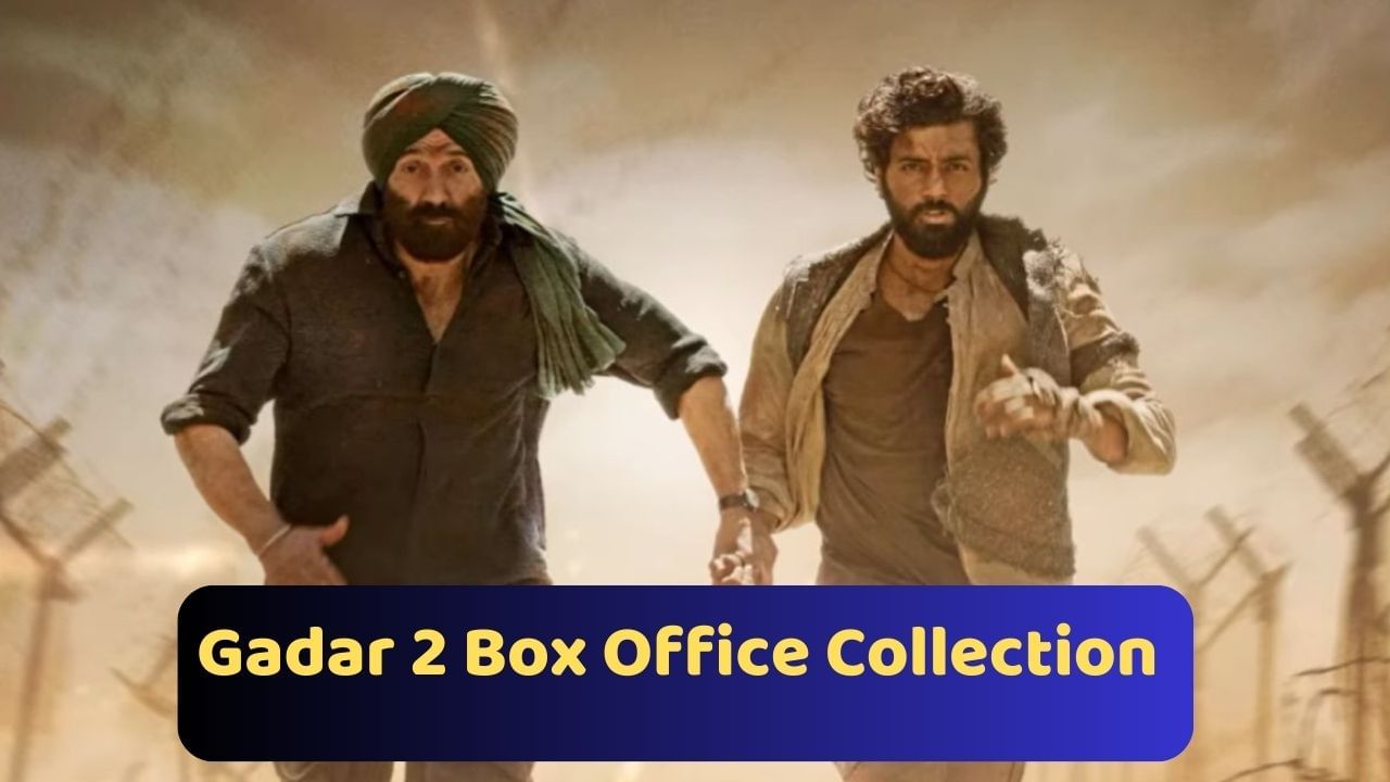 Gadar 2 vs OMG 2 Box Office Collection Day :સની દેઓલની 'Gadar 2'નું બોક્સ ઓફિસ પર તોફાન, અક્ષય કુમારની OMG 2 100 કરોડને પાર