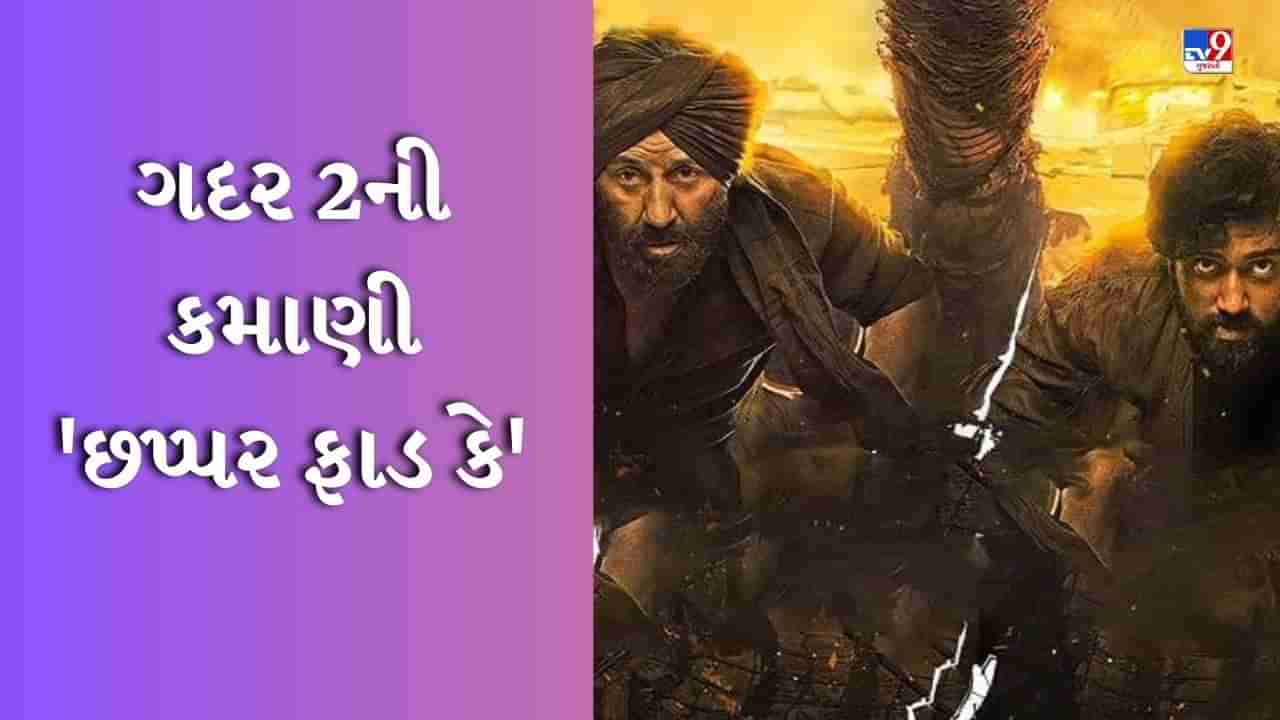 Gadar 2 Box Office Collection : સનીની સુનામીમાં વહી ગયા શાહરૂખ-સલમાન અને પ્રભાસ, 6 દિવસમાં ગદર 2 બની 2023ની બીજી સૌથી મોટી હિટ ફિલ્મ