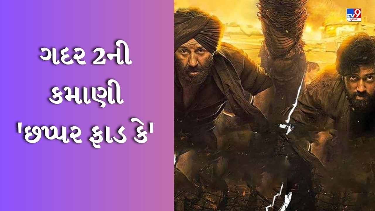 Gadar 2 Box Office Collection : સનીની સુનામીમાં વહી ગયા શાહરૂખ-સલમાન અને પ્રભાસ, 6 દિવસમાં 'ગદર 2' બની 2023ની બીજી સૌથી મોટી હિટ ફિલ્મ