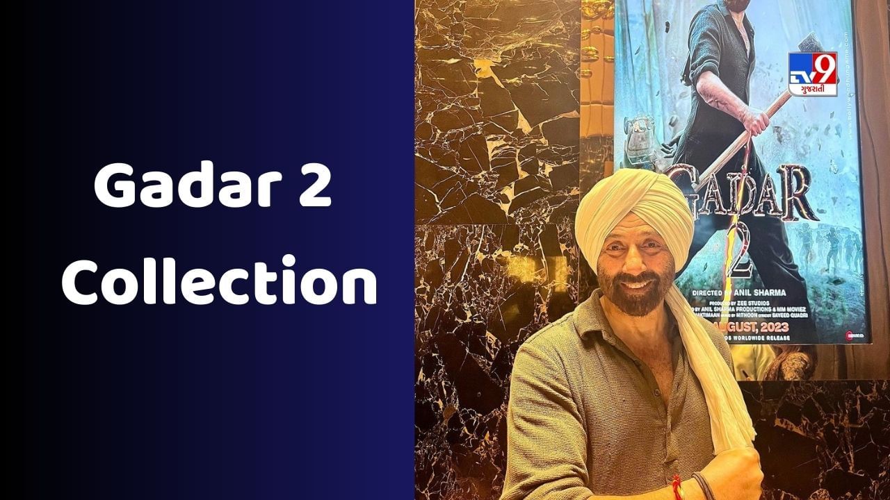 Gadar 2 Collection: 'ગદર 2'એ ફરી સ્પીડ પકડી, 9માં દિવસે છપ્પડફાડ કમાણી કરી