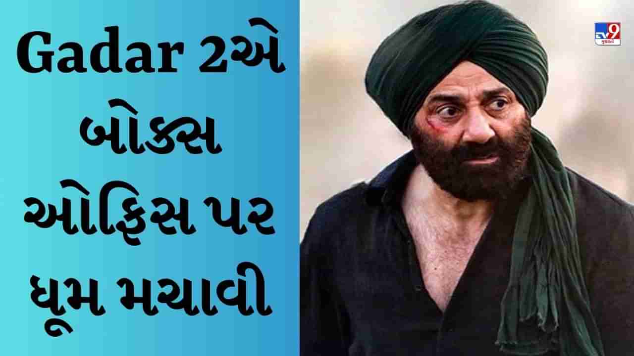 Gadar 2 Collection Day 8: Gadar 2એ બોક્સ ઓફિસ પર ધૂમ મચાવી, આઠમા દિવસે પણ કર્યું શાનદાર કલેક્શન