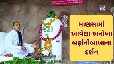 Gandhinagar: 'અમરનાથ'માં આવેલા બરફના શિવલિંગ માટે રખાયા છે ખાસ ધ્યાન, બારેમાસ રખાય છે -13 ડિગ્રી તાપમાન, જૂઓ Video