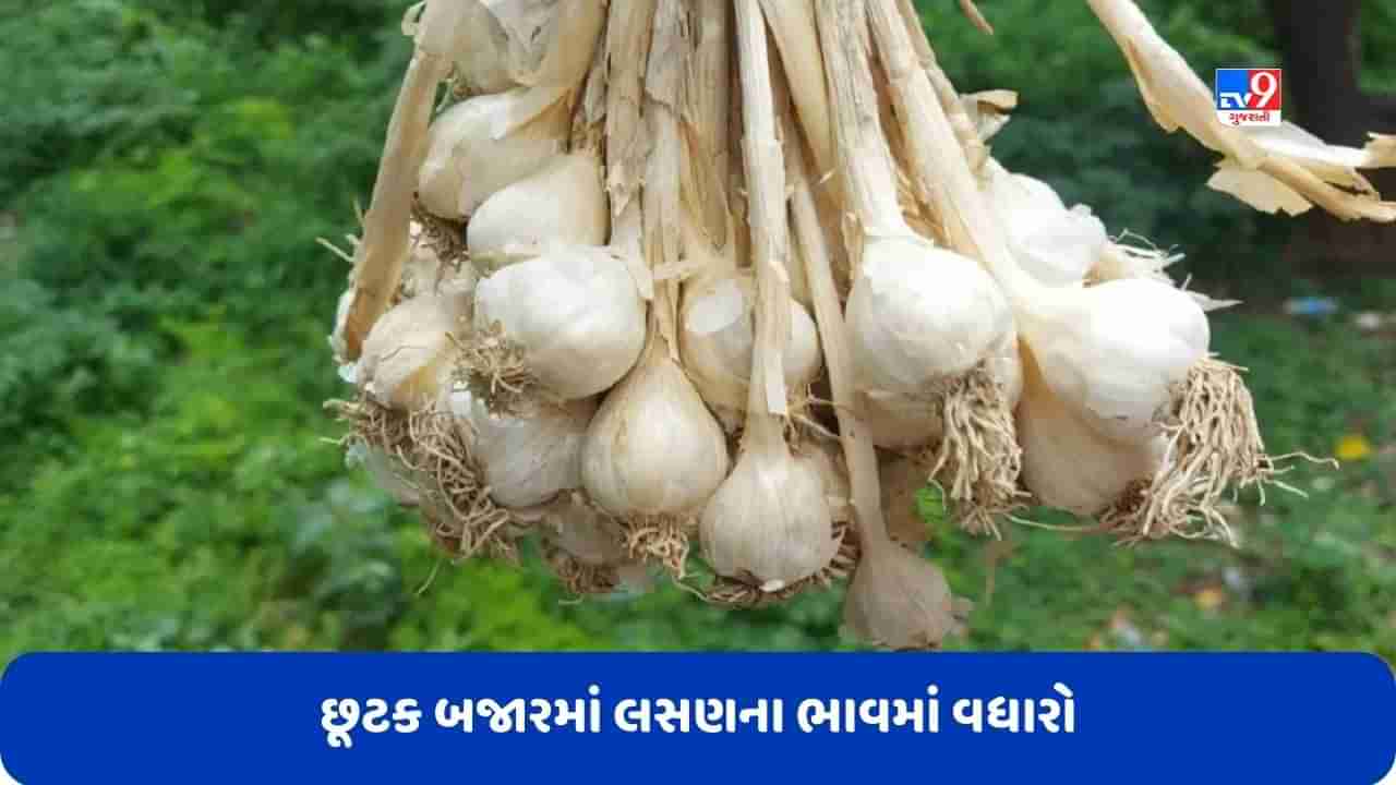 Garlic Price: છૂટક બજારમાં 178 રૂપિયે કિલો લસણ, જાણો અચાનક કેમ ભાવમાં થયો વધારો