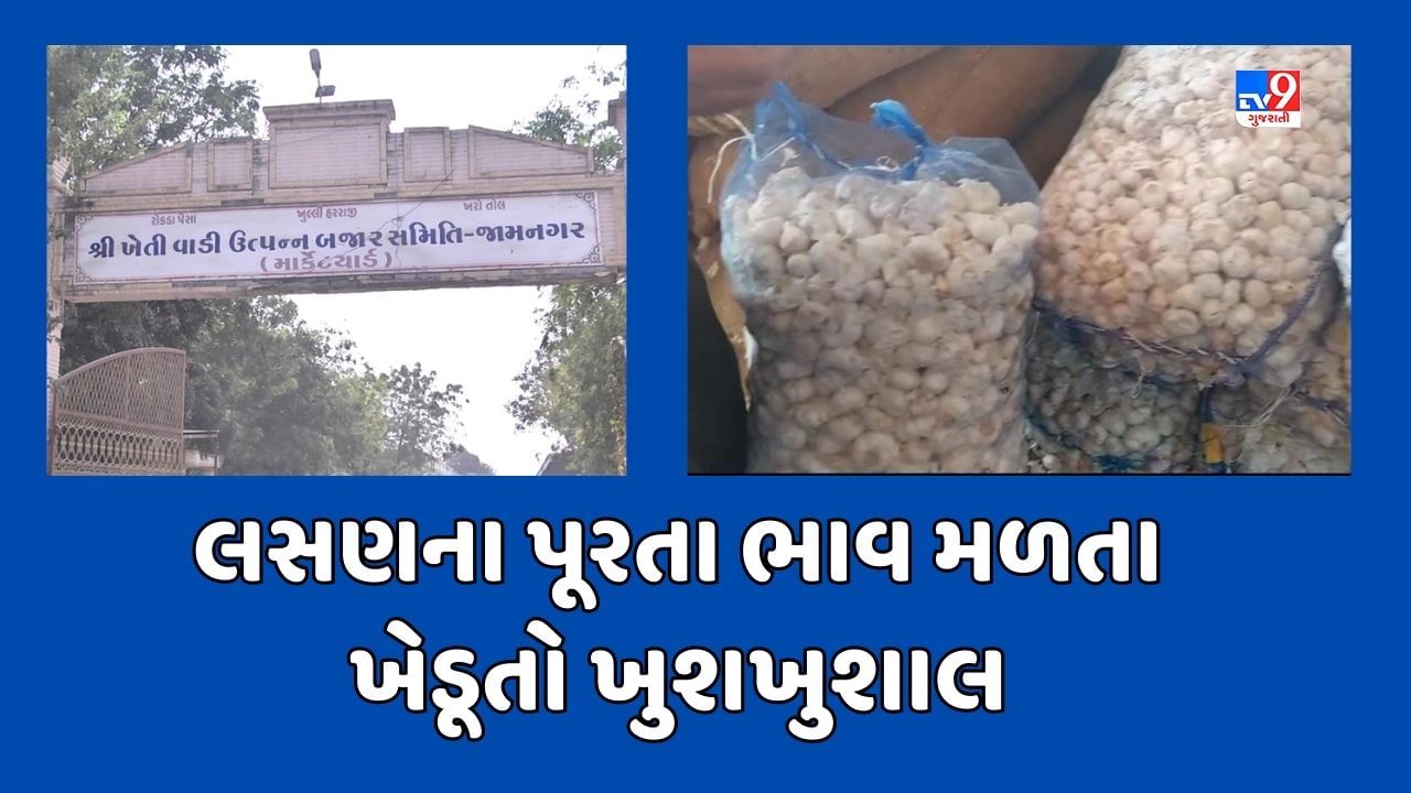 Jamnagar : લસણના ભાવમાં તેજી, ગત વર્ષેની સરખામણીએ ભાવમાં 4 ગણો વધારો