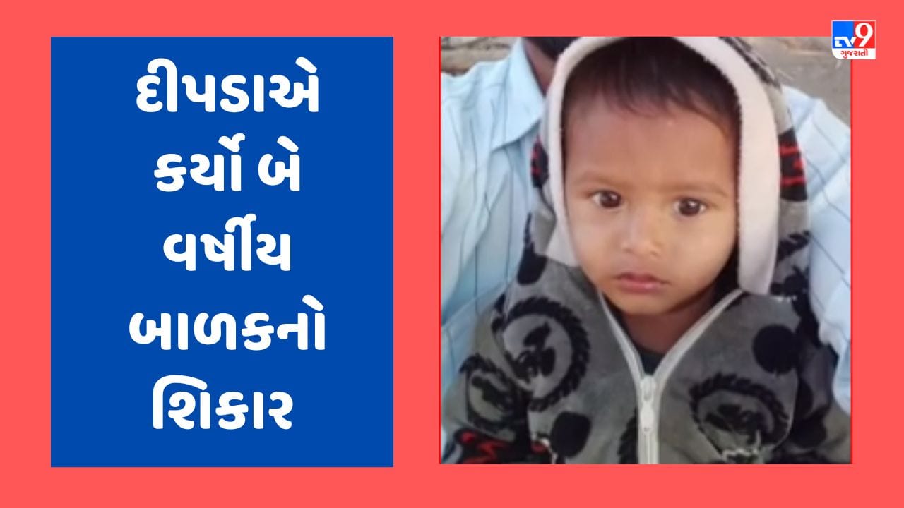 Breaking News: સૂત્રાપાડામાં દીપડાનો ત્રાસ વધ્યો, બે વર્ષીય બાળકનો કર્યો શિકાર, જુઓ Video Breaking News: સૂત્રાપાડામાં દીપડાનો ત્રાસ વધ્યો, બે વર્ષીય બાળકનો કર્યો શિકાર, જુઓ Video