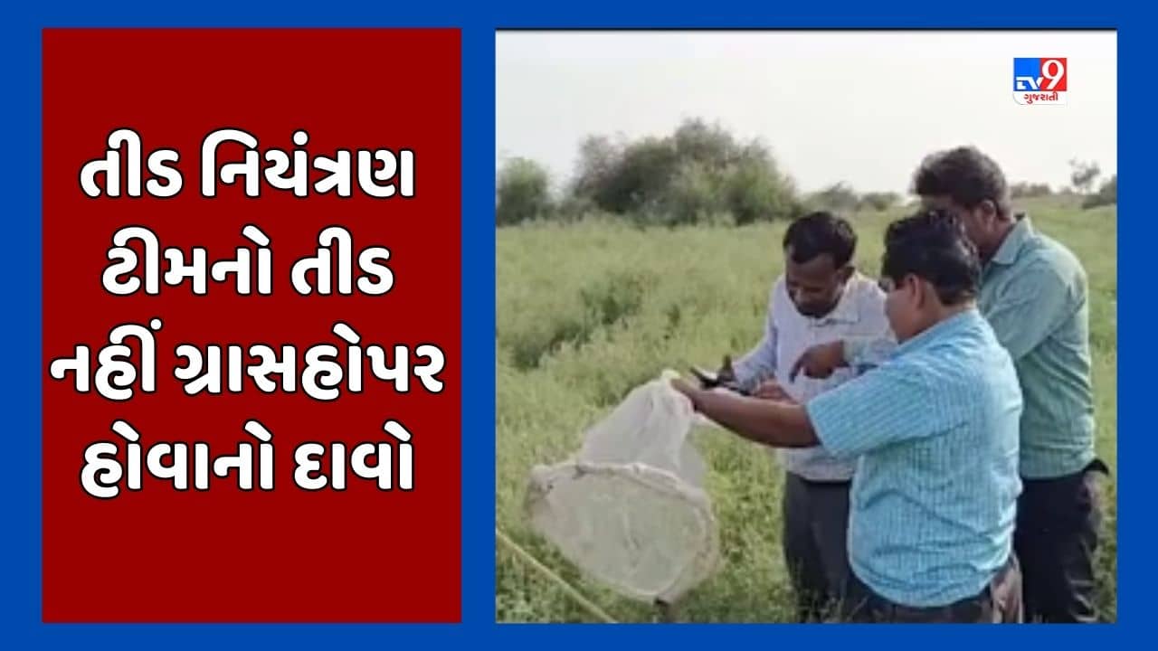 Banaskantha:  મીઠાવી ચારણ ગામે તીડ આવ્યા હોવાનો ખેડૂતોનો દાવો, તીડ નિયંત્રણ ટીમ સરહદીય વિસ્તારમાં પહોંચી, જૂઓ Video