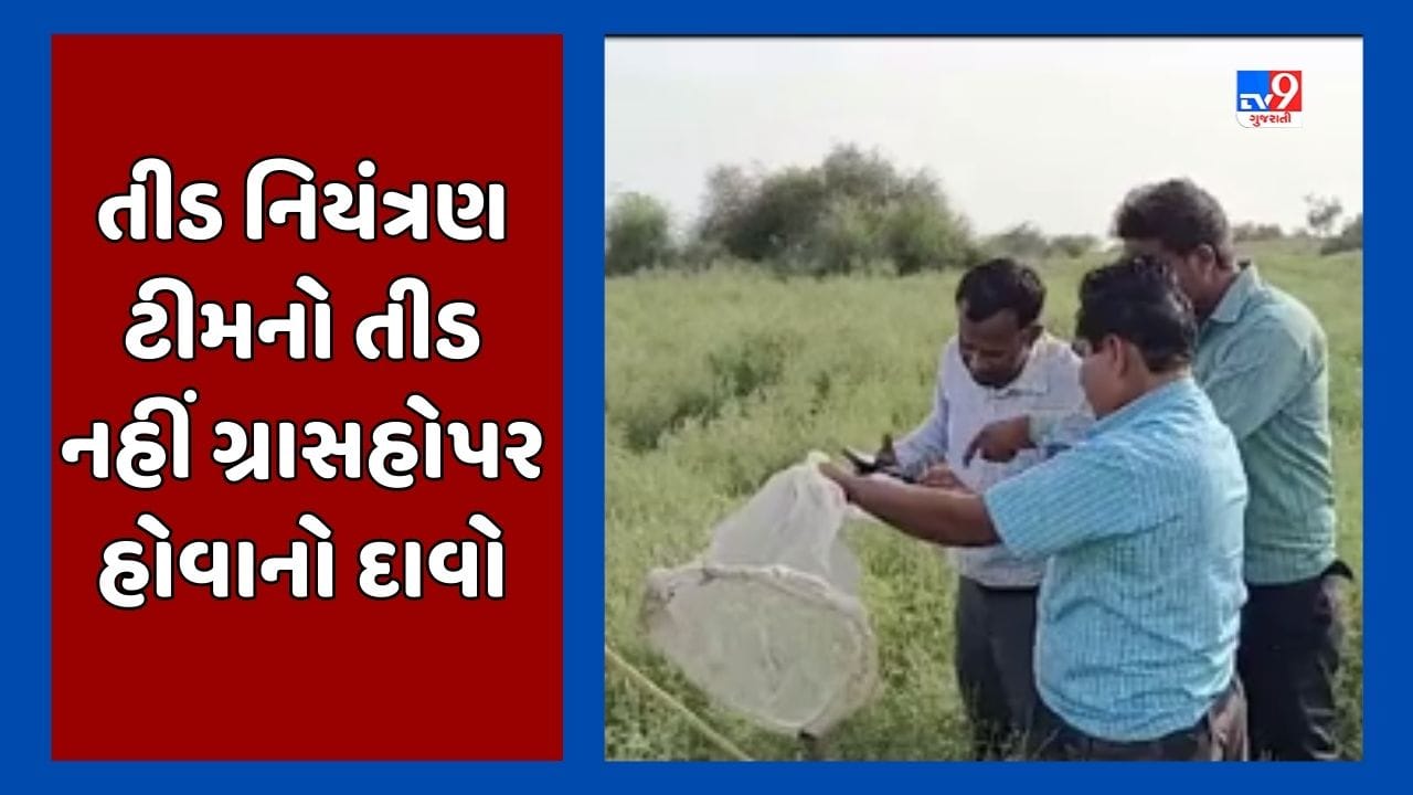 Banaskantha: મીઠાવી ચારણ ગામે તીડ આવ્યા હોવાનો ખેડૂતોનો દાવો, તીડ નિયંત્રણ ટીમ સરહદીય વિસ્તારમાં પહોંચી, જૂઓ Video Banaskantha: મીઠાવી ચારણ ગામે તીડ આવ્યા હોવાનો ખેડૂતોનો દાવો, તીડ નિયંત્રણ ટીમ સરહદીય વિસ્તારમાં પહોંચી, જૂઓ Video