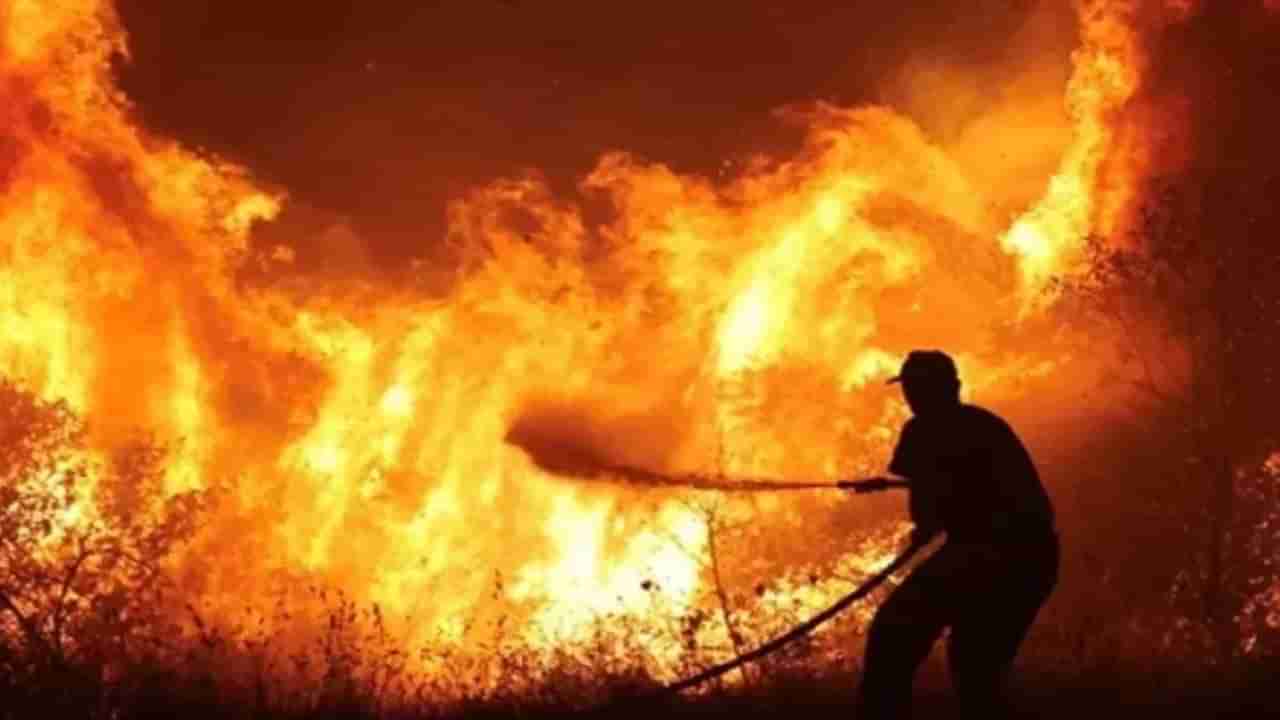 Greece Forest Fire: ગ્રીસના જંગલોમાં લાગેલી ભીષણ આગને કારણે સર્જાયો વિનાશ, ન્યૂયોર્ક કરતા પણ મોટો વિસ્તાર બળીને થઈ ગયો ખાખ