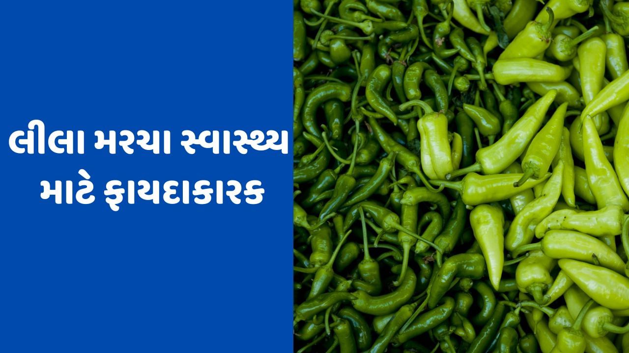 Benefits of Green Chilli : પોષક તત્વોનો ખજાનો છે લીલા મરચા,રોગપ્રતિકારક શક્તિ અને સ્કિન માટે ફાયદાકારક