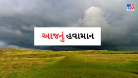 Gujarat Weather Forecast: આજે રાજ્યમાં હળવાથી મધ્યમ વરસાદ પડે તેવી સંભાવના, જુઓ Video Gujarat Weather Forecast: આજે રાજ્યમાં હળવાથી મધ્યમ વરસાદ પડે તેવી સંભાવના, જુઓ Video
