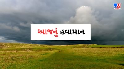 Gujarat Weather Forecast : આજે દ્વારકા સહિતના જિલ્લાઓમાં 35 ડિગ્રી તાપમાન રહે તેવી સંભાવના, જુઓ Video Gujarat Weather Forecast : આજે દ્વારકા સહિતના જિલ્લાઓમાં 35 ડિગ્રી તાપમાન રહે તેવી સંભાવના, જુઓ Video
