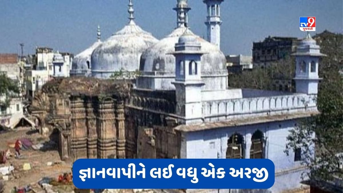 Gyanvapi Case: જ્ઞાનવાપીને લઈ હાઈકોર્ટમાં વધુ એક અરજી દાખલ, કરી આ માંગ Gyanvapi Case: જ્ઞાનવાપીને લઈ હાઈકોર્ટમાં વધુ એક અરજી દાખલ, કરી આ માંગ