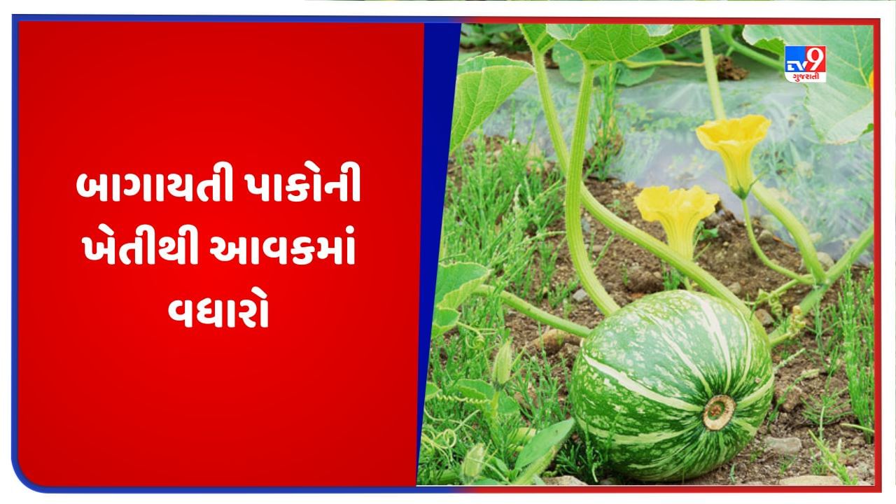 Success Story: નિવૃત્ત બાદ શરૂ કરી બાગાયતી પાકોની ખેતી, દર મહિને કરે છે લાખો રૂપિયાની કમાણી