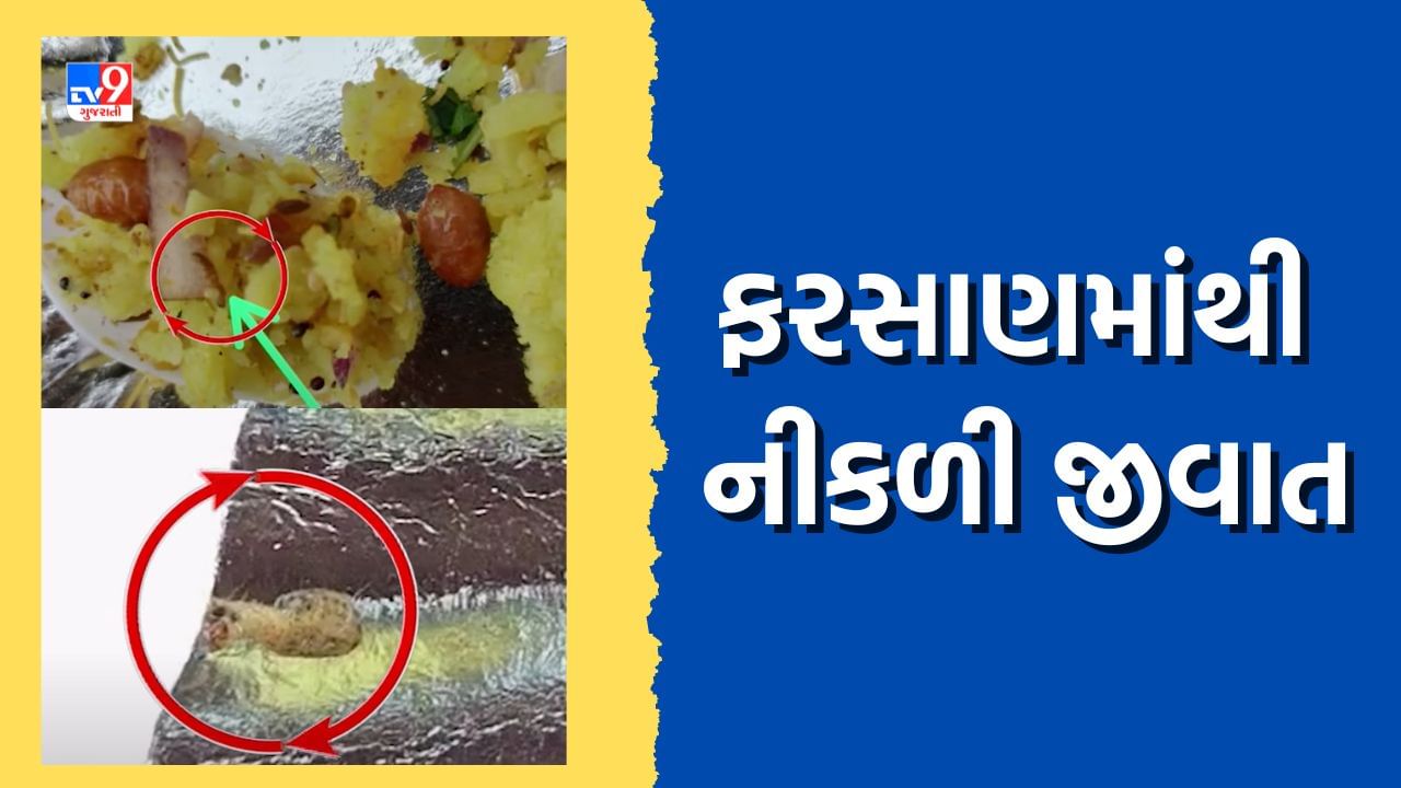 ભાવનગરમાં લોકોના આરોગ્ય સાથે ખુલ્લેઆમ ચેડા, ફરી ફરસાણમાંથી નીકળી જીવાત, જુઓ Video