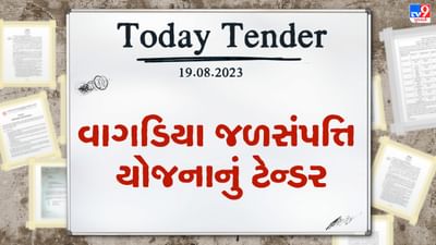 Tender Today : જામનગરમાં વાગડિયા જળસંપત્તિ યોજનાના કામ માટે લાખો રુપિયાનું ટેન્ડર જાહેર