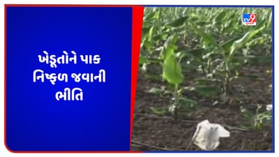 Junagadh: માંગરોળના શેઠી ગામમાં વીજ વાયરની ચોરી, વીજળીના અભાવે ખેડૂતોને પાક નિષ્ફળ જવાની ભીતિ, જુઓ Video