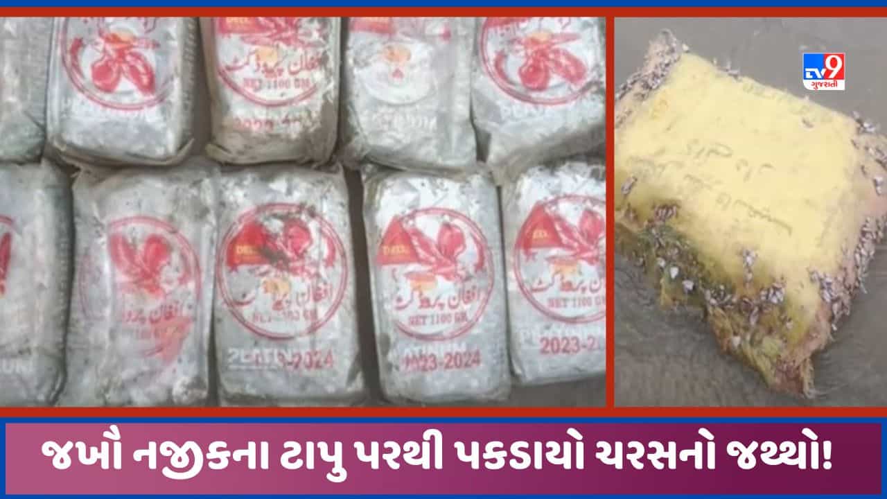 Kutch: જખૌ નજીકના ખિદરત ટાપુ પરથી ચરસના પેકેટ મળ્યા, BSF ને પેટ્રોલીંગ દરમિયાન 10 પેકેટ મળ્યા, જુઓ Video