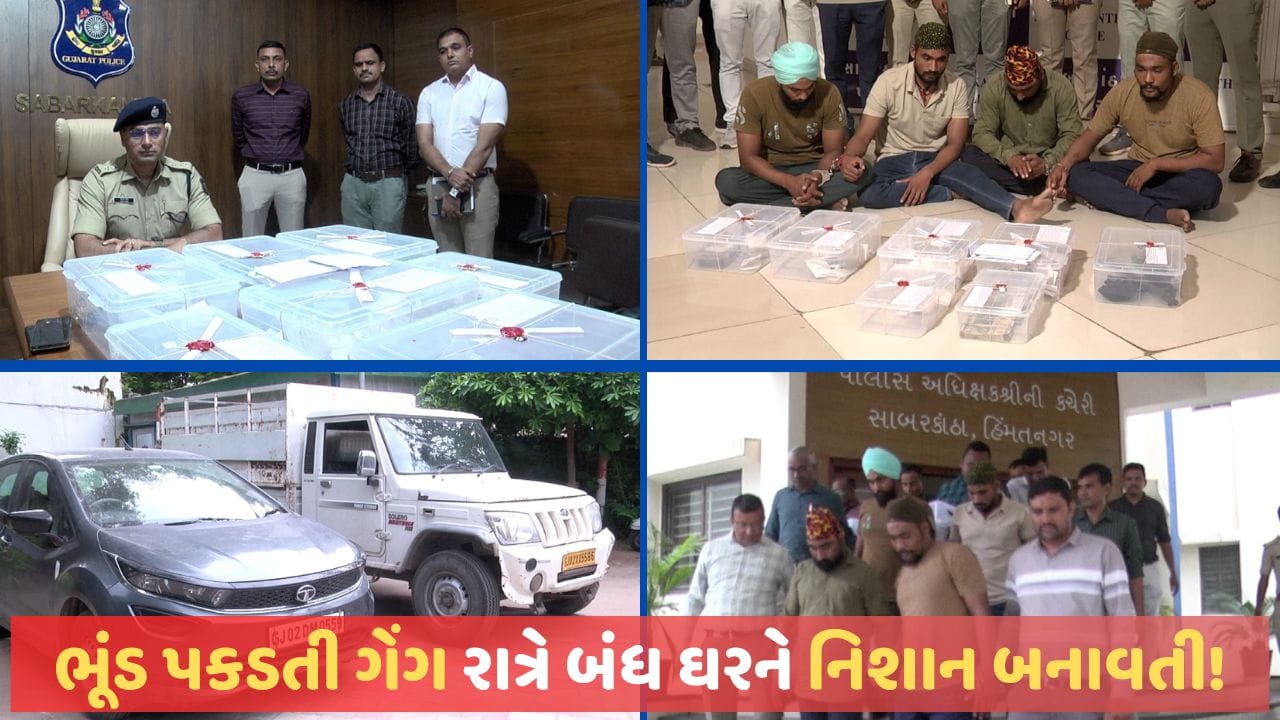 Sabarkantha: દિવસે ભૂંડ પકડતી ગેંગ રાત્રે બંધ ઘરને નિશાન બનાવતી, LCB એ ટોળકી ઝડપતા લાખોની ચોરીના ભેદ ઉકેલાયા