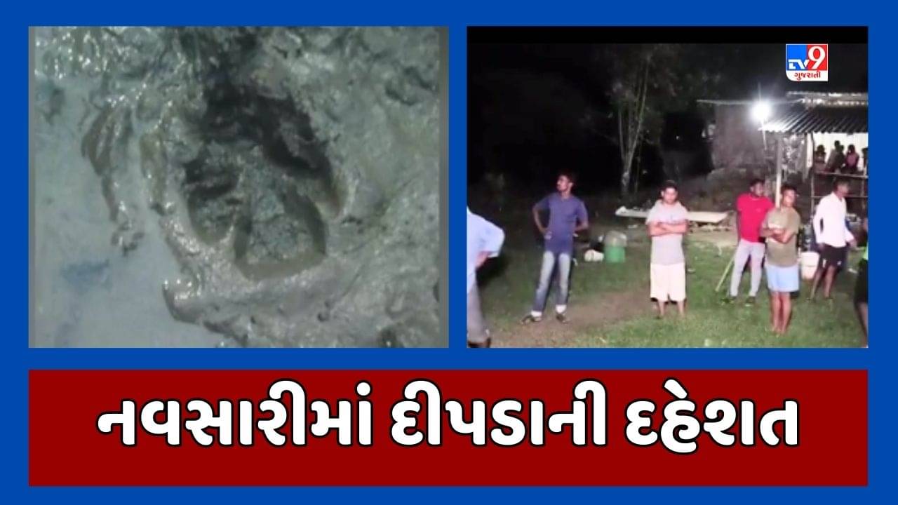 Navsari: શહેરના અનેક વિસ્તારમાં મોડી રાત્રે દીપડીના આંટાફેરા જોવા મળ્યા, સ્થાનિકોમાં ફેલાયો ભયનો માહોલ, જૂઓ Video