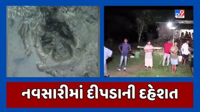 Navsari: શહેરના અનેક વિસ્તારમાં મોડી રાત્રે દીપડીના આંટાફેરા જોવા મળ્યા, સ્થાનિકોમાં ફેલાયો ભયનો માહોલ, જૂઓ Video Navsari: શહેરના અનેક વિસ્તારમાં મોડી રાત્રે દીપડીના આંટાફેરા જોવા મળ્યા, સ્થાનિકોમાં ફેલાયો ભયનો માહોલ, જૂઓ Video