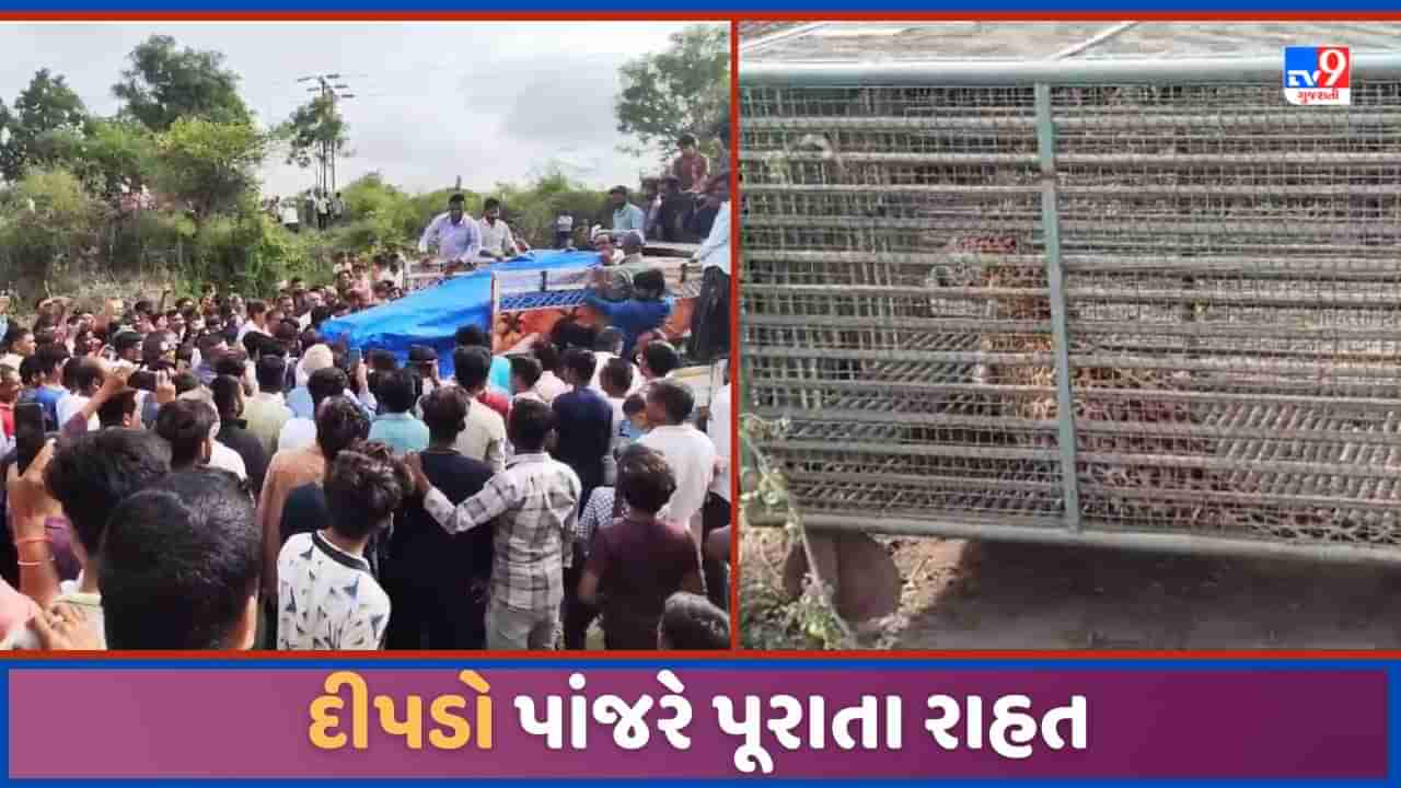 Sabarkantha: હિંમતનગર નજીક દીપડો પાંજરે પૂરાયો, છેલ્લા કેટલાક દીવસથી લોકોમાં ફેલાયેલા ભયમાં રાહત!