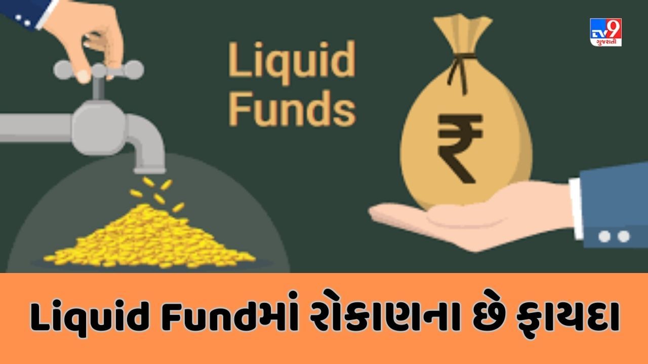 Mutual Fund : Liquid Fundsમાં રોજે રોજ મળે છે વ્યાજ, જાણો શું છે liquid fund અને ક્યારે રોકાણ કરવુ જોઇએ