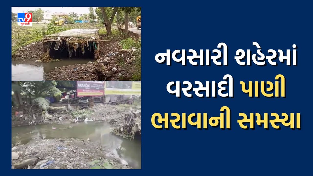 Navsari: ઇન્ફ્રાસ્ટ્રક્ચર ડેવલોપમેન્ટ સામે શહેરમાં વરસાદી પાણીના નિકાલ માટે કોઈ યોજના નહીં હોવાનો સ્થાનિકોનો આક્ષેપ, જુઓ Video