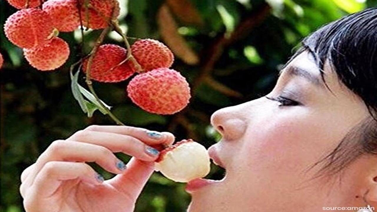 આ ફળ રોગપ્રતિકારક શક્તિને મજબૂત કરવામાં મદદરૂપ છે. લીચીમાં વિટામિન સી, બીટા કેરોટીન, નિયાસિન, રિબોફ્લેવિન અને ફોલેટ ભરપૂર માત્રામાં હોય છે જે રોગપ્રતિકારક શક્તિને મજબૂત કરવામાં મદદ કરી શકે છે. એન્ટિ-ઓક્સિડેન્ટથી ભરપૂર લીચી હૃદયને સ્વસ્થ રાખવામાં મદદરૂપ છે. લીચી ખાવાથી હૃદયને સ્વસ્થ રાખવામાં મદદ મળે છે.