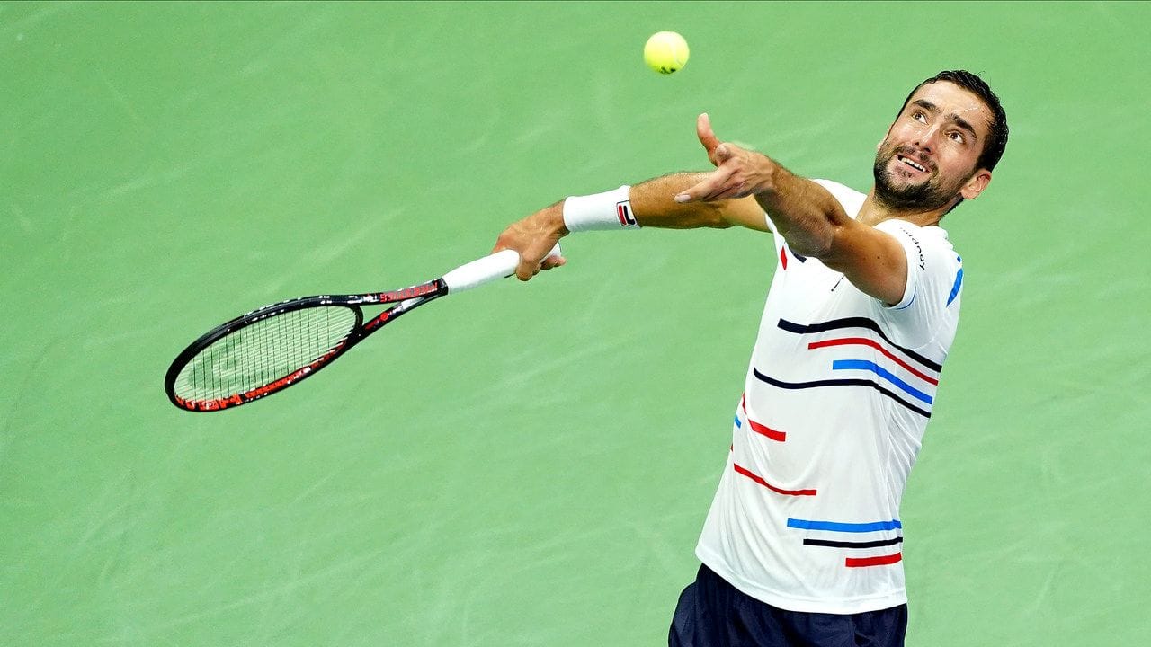 સિલિક ચારેય મેજર્સમાં સેમિફાઇનલ અને તમામ નવ ATP માસ્ટર્સ 1000 ટૂર્નામેન્ટમાં ક્વાર્ટર ફાઇનલ સુધી પહોંચ્યો છે. તે ઓછામાં ઓછા 20 ATP ટૂર ટાઇટલ ધરાવતા છ સક્રિય ખેલાડીઓમાંથી એક છે અને ચારેય મેજર્સમાં ઓછામાં ઓછા સેમિફાઇનલ સ્ટેજ સુધી પહોંચનારા પાંચ સક્રિય ખેલાડીઓમાંથી એક છે.