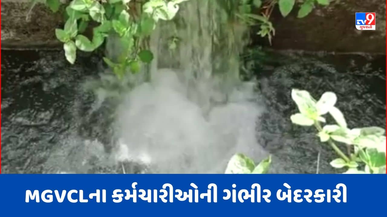 Vadodara Video : શિનોરના સાધલી ગામે MGVCLના કર્મચારીઓની ગંભીર બેદરકારી, JCBથી ખોદકામ કરતા પાણીની મેન લાઈનમાં ભંગાણ
