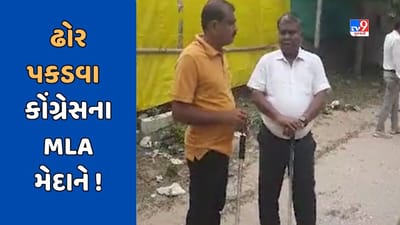 Patan : ઢોર પકડવા રસ્તા પર ઉતર્યા કોંગ્રેસના ધારાસભ્ય, જુઓ Video