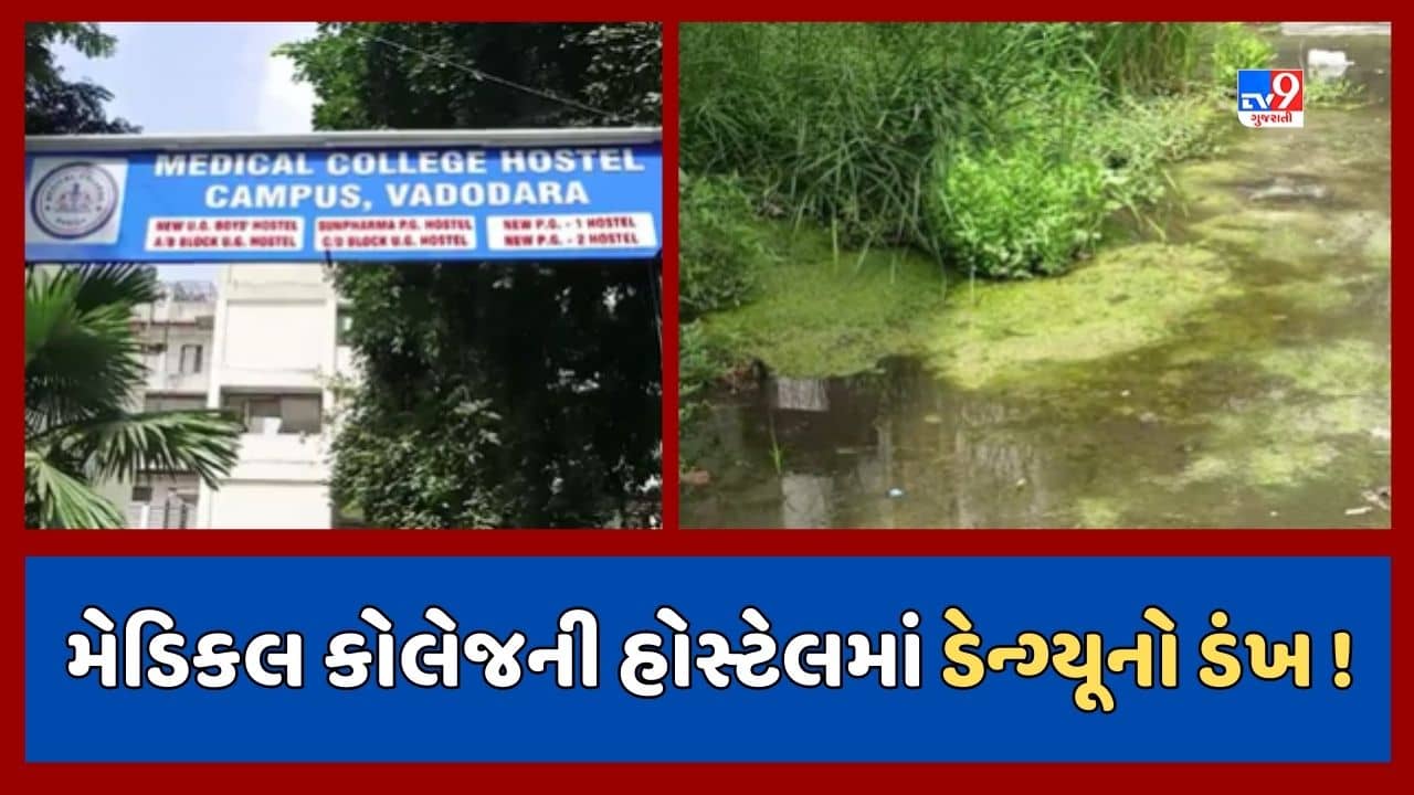 Vadodara : મેડિકલ કોલેજની હોસ્ટેલમાં 10થી વધુ વિદ્યાર્થીને ડેન્ગ્યૂ, 25થી વધુ વિદ્યાર્થીઓ તાવ-ટાઇફોઇડથી બીમાર, જૂઓ Video