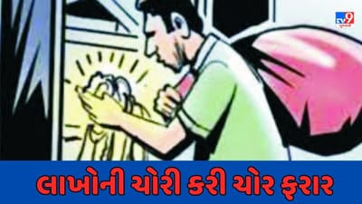 Breaking News : વિજાપુરના એક મકાનમાં 14 લાખની થઈ ચોરી, પોલીસે ગુનો દાખલ કરી તપાસ હાથ ધરાઈ, જુઓ Video